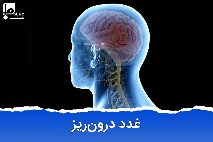 غدد درون ریز چیست