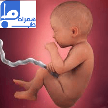 ماه 8 بارداری 