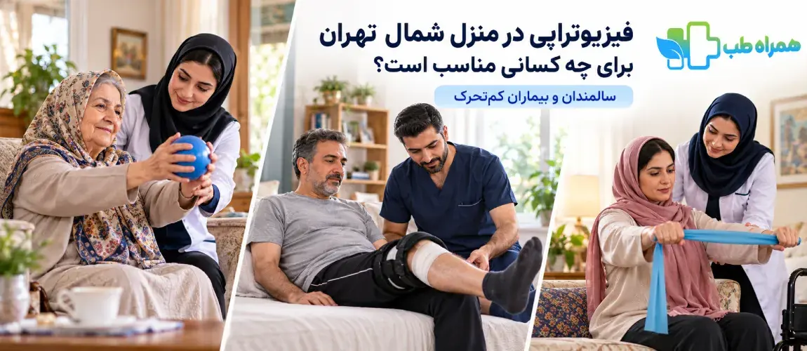 For whom is in-home physiotherapy in North Tehran suitable?